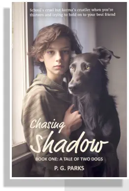 Chasing Shadow Book One cover image